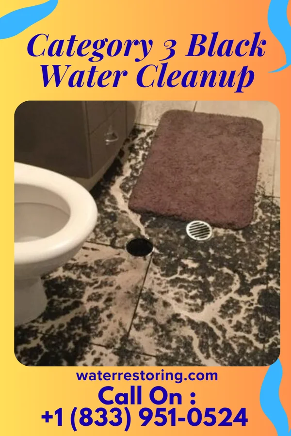 Category 3 Black Water Cleanup in Pelican Rapids, MN