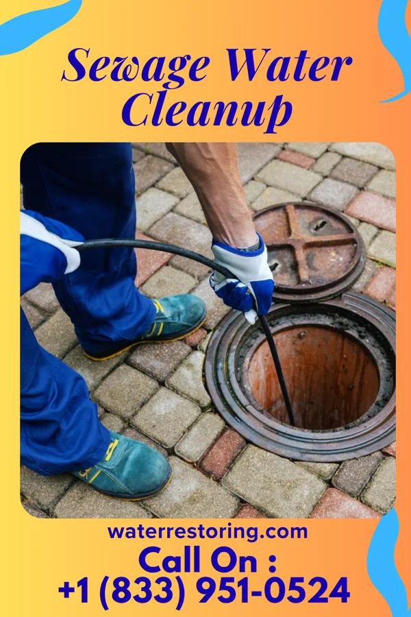 Sewage Water Cleanup in Pelican Rapids, MN